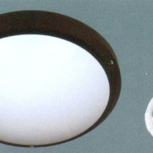 Đèn mâm ốp trần huỳnh quang Anfaco AFC-052B-22W-T6