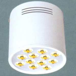 Đèn lon ốp trần nổi Anfaco AFC-566-12W