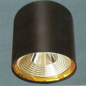 Đèn lon ốp trần nổi Anfaco AFC-568D-10W