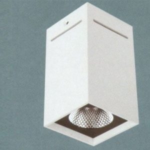 Đèn lon ốp trần nổi Anfaco AFC-570-12W