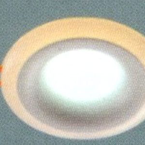 Đèn led ốp trần nổi tròn Anfaco AFC-677V-9W-AST+6W-ASV