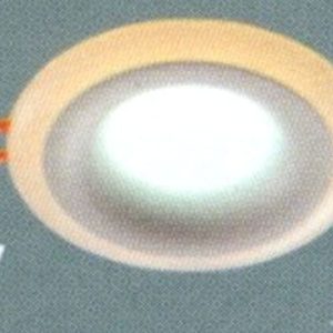 Đèn led ốp trần nổi tròn Anfaco AFC-679V-9W