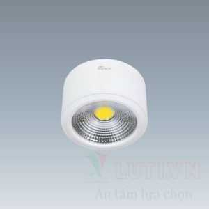 Đèn lon ốp trần nổi Anfaco AFC-553T-12W